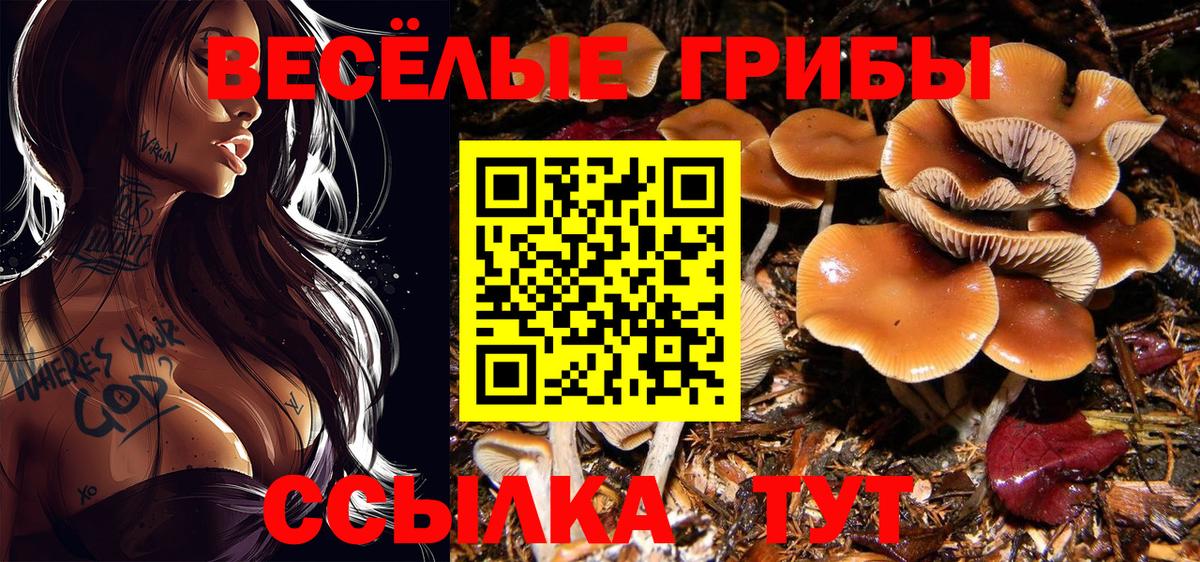 Псилоцибиновые грибы мухоморы  Вход с VPN  Псилоцибиновые грибы Psilocybe  Златоуст 
